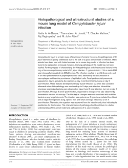 Histopathological and ultrastructural studies of a mouse lung model