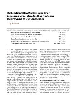 Dysfunctional Root Systems and Brief Landscape Lives