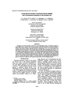 Unique Seminal Quality in the South African Cheetah and a