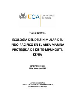 Ecology of the Indo-Pacific bottlenose dolphin in the Marine