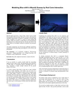 Modeling Blue shift in Moonlit Scenes by Rod Cone Interaction