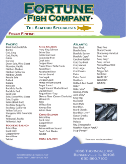 ff Finfish catalog pg 1