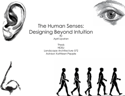 The Human Senses: Designing Beyond Intuition