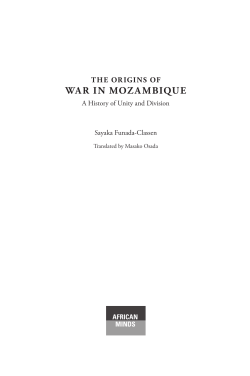 The Origins of War in Mozambique