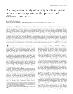 A comparative study of activity levels in larval