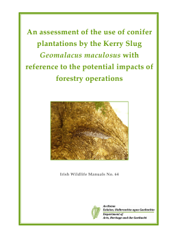An assessment of the use of conifer plantations by the Kerry