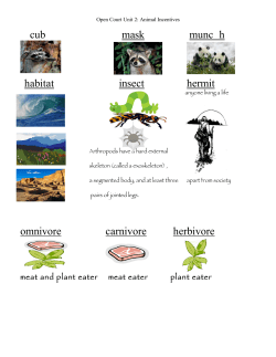 cub mask munc h habitat insect hermit omnivore carnivore herbivore
