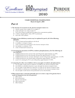 2010 Semifinal Exam