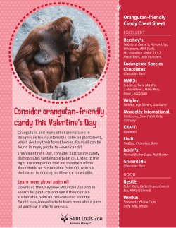 Candy Guide for Vday