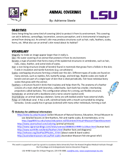 Animal coverings - Louisiana State University