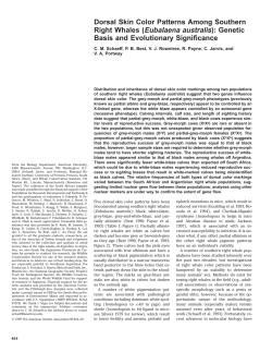 Dorsal Skin Color Patterns Among Southern Right Whales