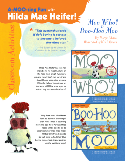 Hilda Mae Heifer!