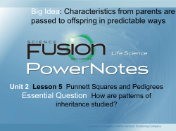 How are Punnett squares used to predict patterns of heredity?