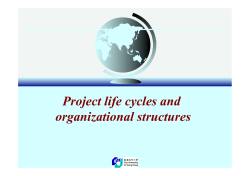 Project Life Cycles and Organisational Structures.pptx