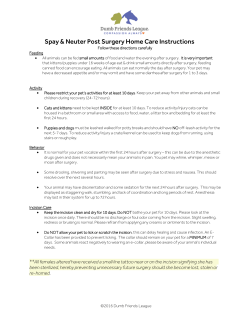 post &ndash; surgery home care instructions