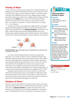 Polarity of Water Solutions of Water