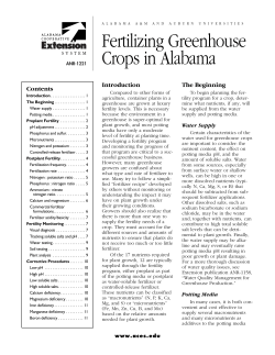 Fertilizing Greenhouse Crops in Alabama