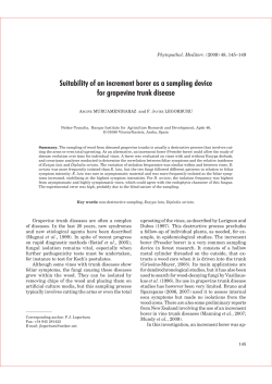 145-149 MURUAMENDIARAZ .indd