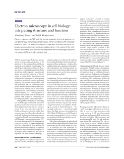 Electron microscopy in cell biology: integrating structure and function