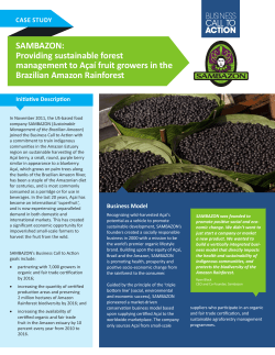 SAMBAZON: Providing sustainable forest
