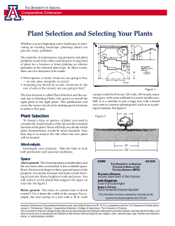 Plant Selection and Selecting Your Plants