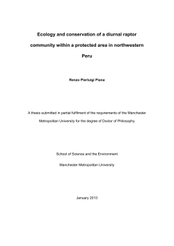 Ecology and conservation of a diurnal raptor community within a