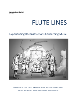Flute Lines: Experiencing Reconstruction Concerning Music