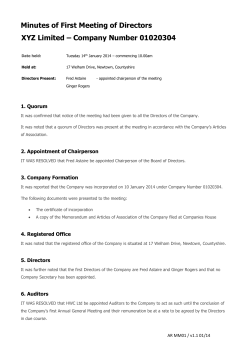 Minutes of First Meeting of Directors XYZ Limited