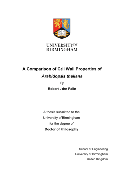 A comparison of cell wall properties of Arabidopsis thaliana