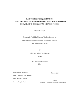 CARBON DIOXIDE SEQUESTRATION: CHEMICAL AND PHYSICAL