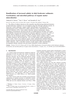 Ramifications of increased salinity in tidal freshwater sediments