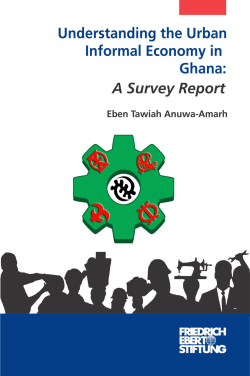 Understanding the Urban Informal Economy in Ghana: A Survey