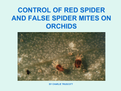 control of red spider and false spider mites on orchids