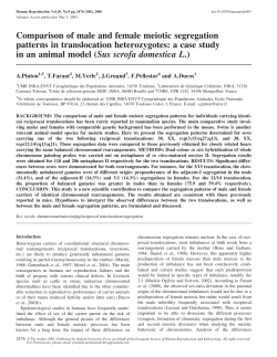 Comparison of male and female meiotic segregation patterns in