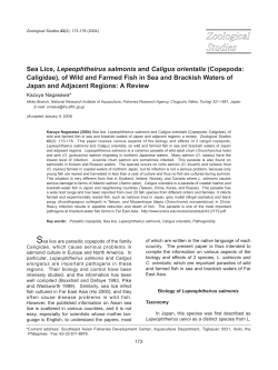 Sea Lice, Lepeophtheirus salmonis and Caligus orientalis