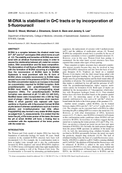 M-DNA is stabilised in G&bull;C tracts or by
