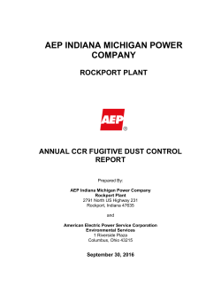 aep indiana michigan power company