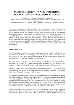 cork treatment - a new industrial application of