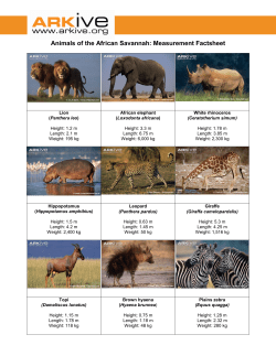 Animals of the African Savannah: Measurement Factsheet