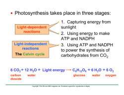 Photosynthesis takes place in three stages: