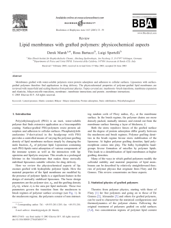 Lipid membranes with grafted polymers
