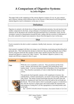 A Comparison of Digestive Systems