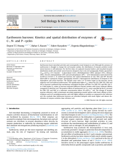 Earthworm burrows: Kinetics and spatial distribution of