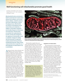California Agriculture