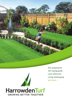 Site preparation Turf laying guide Lawn aftercare Living