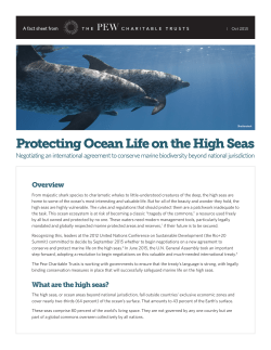 Protecting Ocean Life on the High Seas