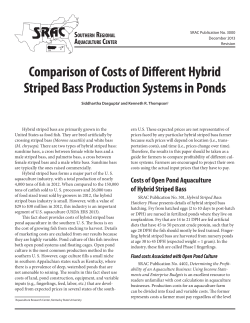 Comparison of Costs of Different Hybrid Striped Bass Production
