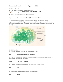 Photosynthesis Quiz #1 Key