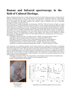 Raman and Infrared spectroscopy in the field of Cultural