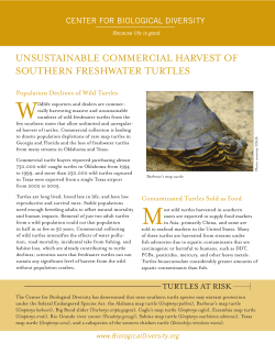 unsustainable commercial harvest of southern freshwater turtles
